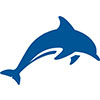 Delfin English School - favIcon