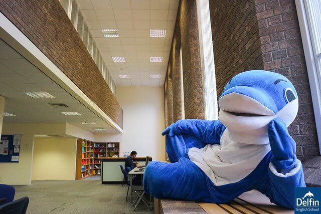 더블린의 영어 학교 - Dave the Dolphin